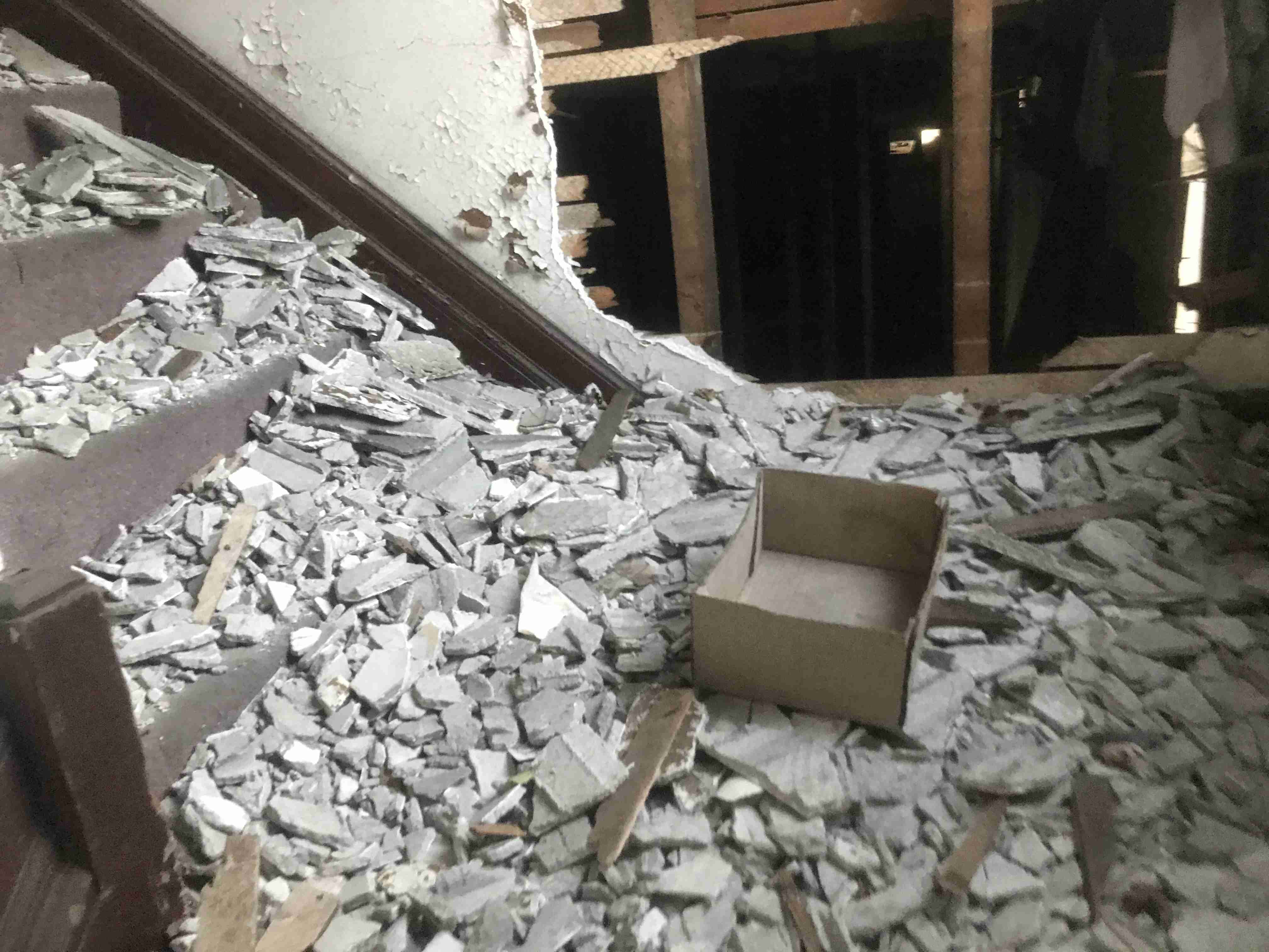 Photo Nov 04, 5 08 07 PM.jpg